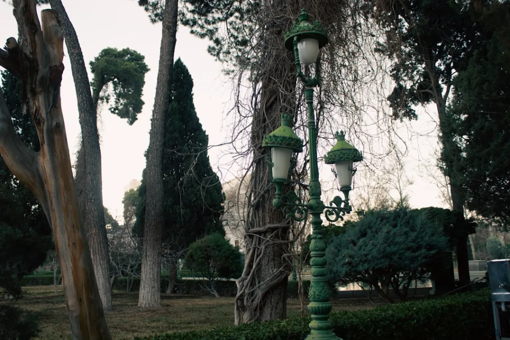 Photo Aesthetics
